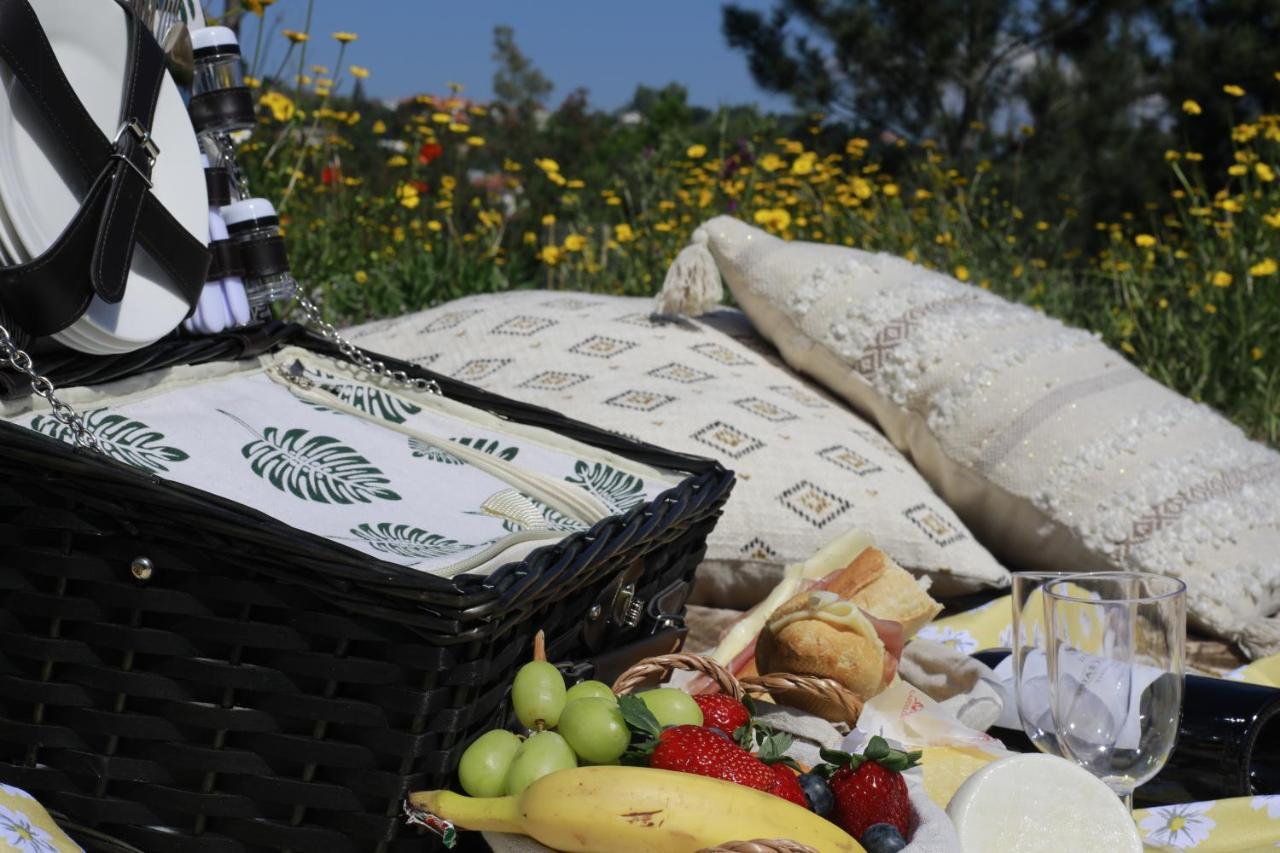 Quinta Vale De Palheiros 호텔 산타 콤바 당 외부 사진